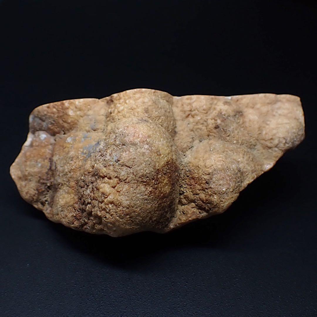 【ペルー産】インカローズ