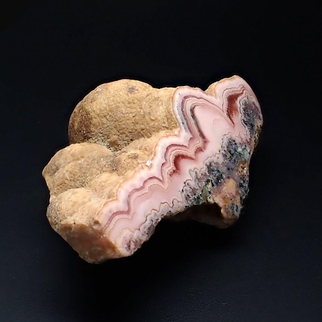 【ペルー産】インカローズ