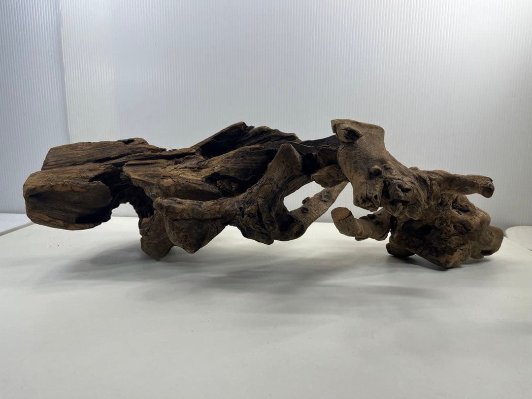 V67アク抜き済み流木 爬虫類シェルター 登り木 インテリア 生け花