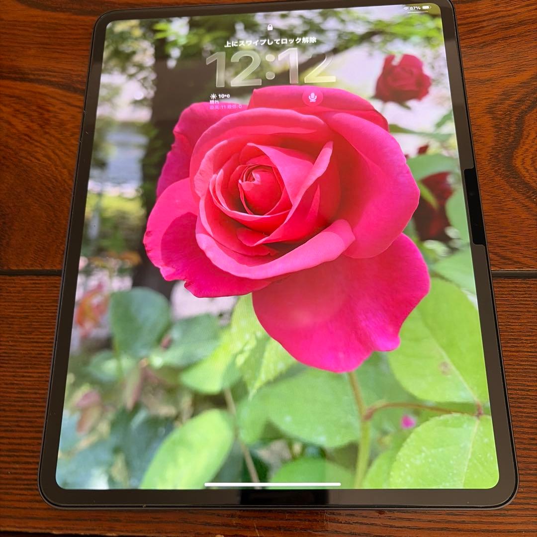 13インチiPad Pro M4 Wi-Fiモデル256GBスペースブラック他