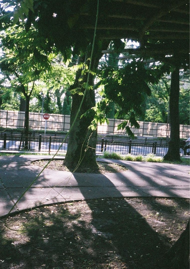 【動作確認・清掃済み＊試写あり】くすみグリーン＊リコーオートハーフSE