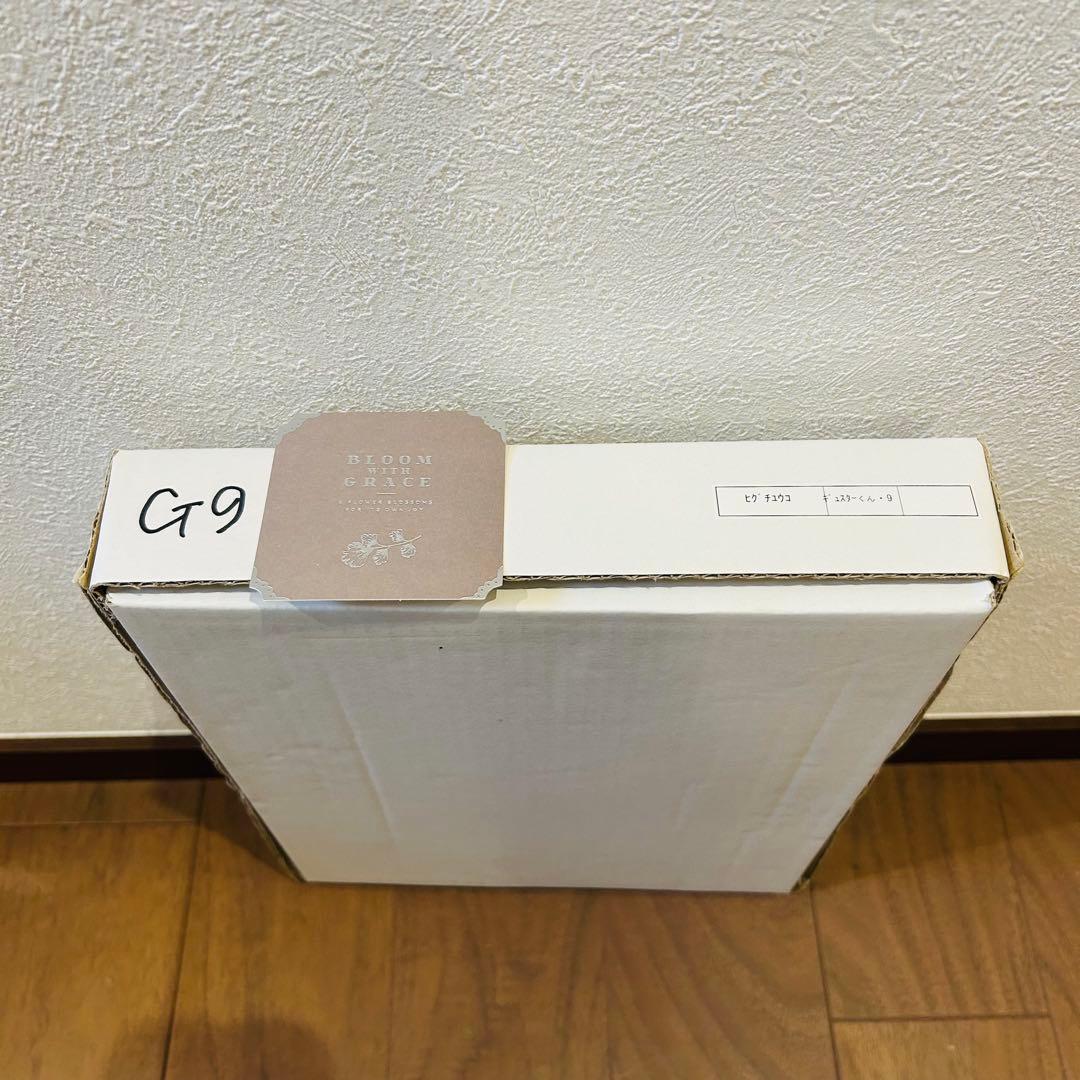 新品未開封 ギュスターヴくん ９号 ヒグチユウコ