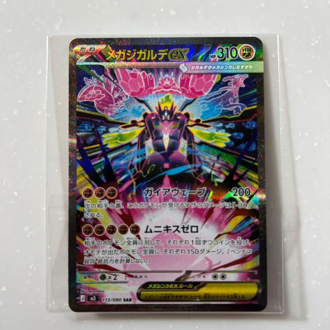 メガリザードンX & メガジガルデ　2枚セット