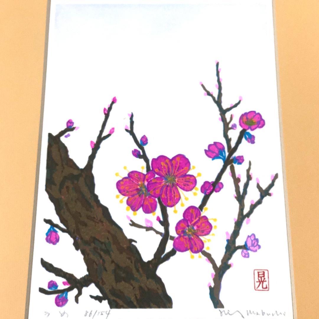 版画 [ 馬渕晃 梅 × 1 芙蓉 ( ふよう ) × 1 藤 × 2 ]