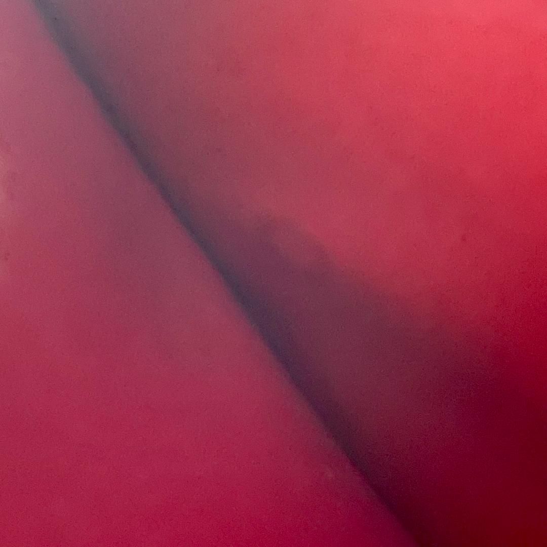 LOUIS VUITTON ヴィトン ヴェルニ ポルトフォイユ ヴィエノワ 赤系