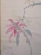 【真作】掛軸　五島耕畝　石榴に小禽図　淡彩花鳥画の逸品　共箱入　T111