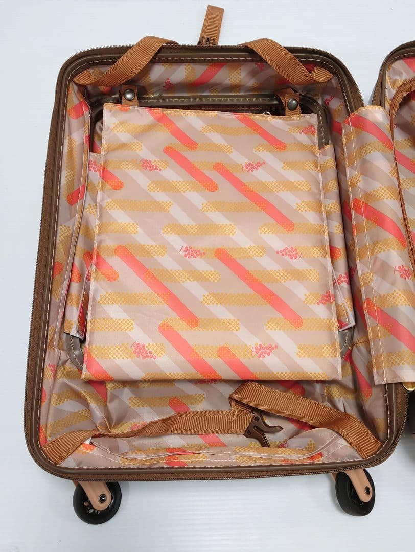 HaNT ハント ココント スーツケース 36L【超美品】