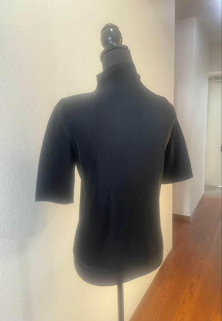 プリーツプリーズ　ミストハイネック定番　ブラック