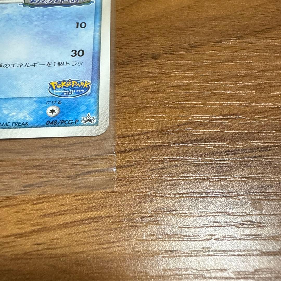 ポケモンカード ポケパークのミズゴロウ スプラッシュアドベンチャー 未開封