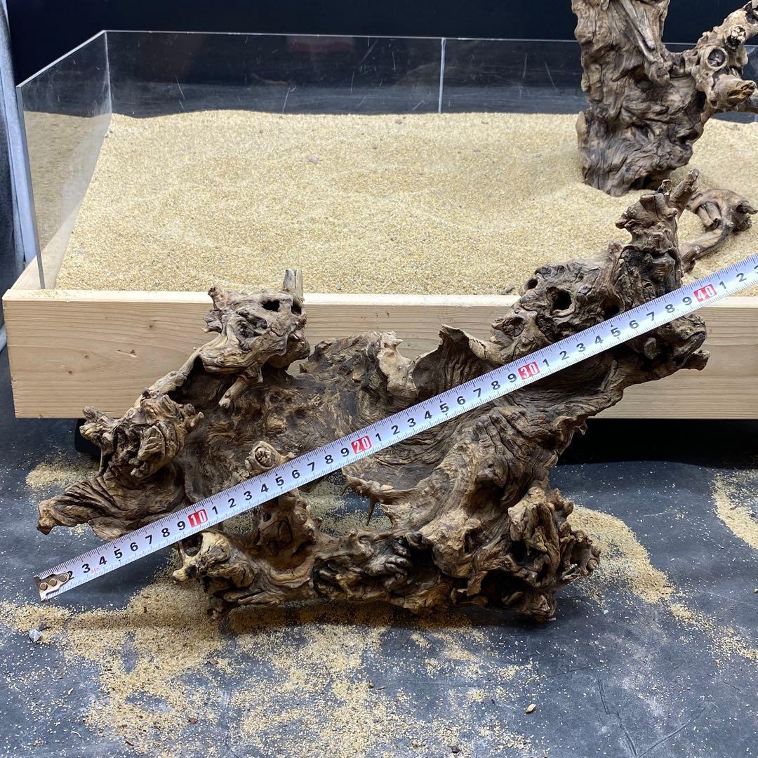 MJW-6618 ジンジャーウッド2本セット　天然流木　アクアリウム　爬虫類