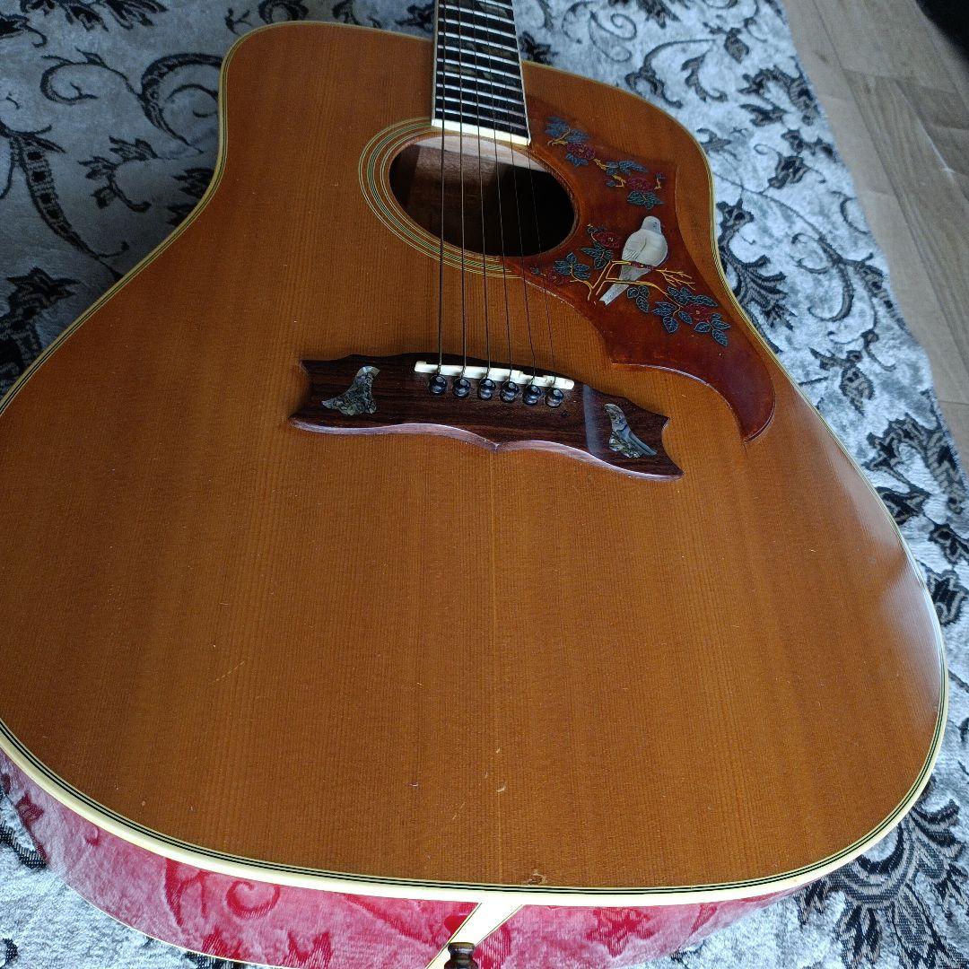 DOVEダヴモデル Burny BD-85 バーニー フェルナンデス 百瀬さん