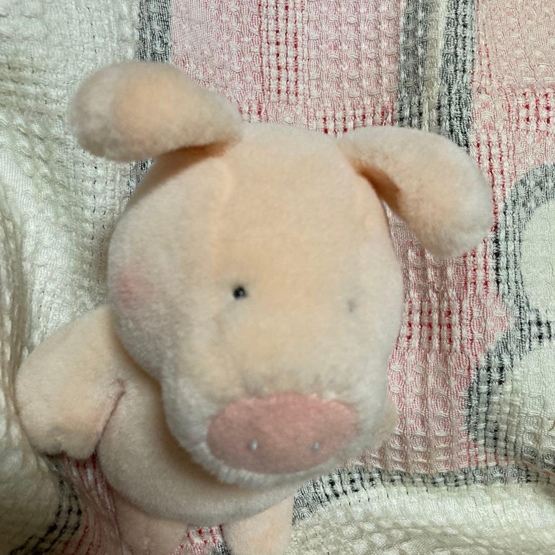 サンアロー　kipper ブタ　ぬいぐるみ　中古品