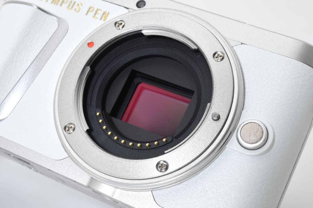 【超美品】OLYMPUS PEN E-PL9 EZ ダブルズームキット