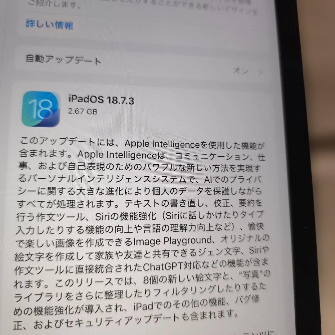 し*う様 第8世代 32GB セルラーモデル 32GBスペースグレ84％