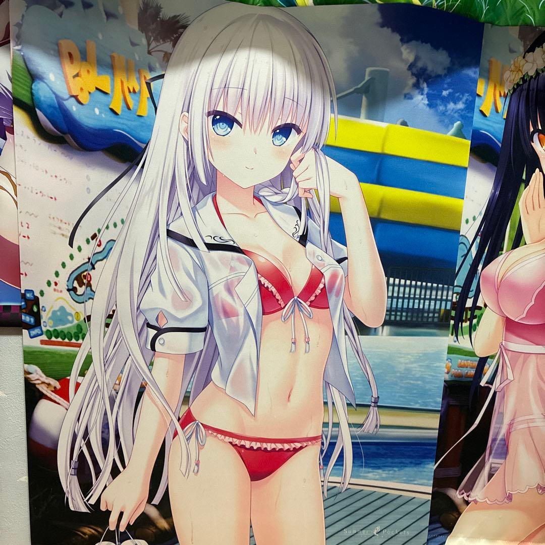 サマーポケッツ　タペストリー7点セット