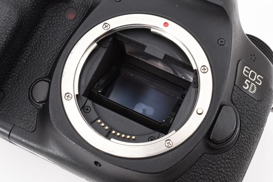 保証付き/Canon EOS 5D MarkIII標準&望遠ダブルレンズセット