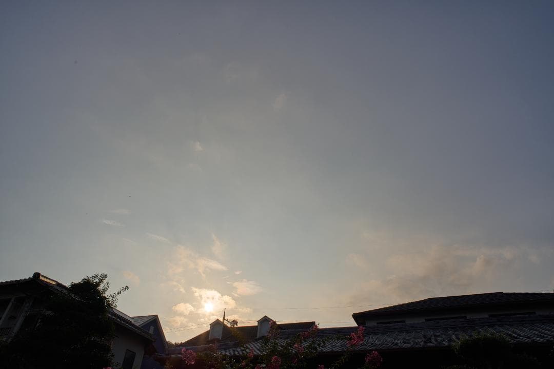 フィルムカメラ CANON FD 24mm F2.8 S.S.C.