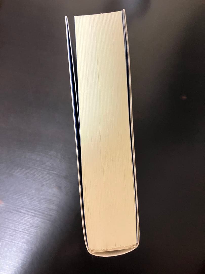 I〈わたし〉真実と主観性　帯付