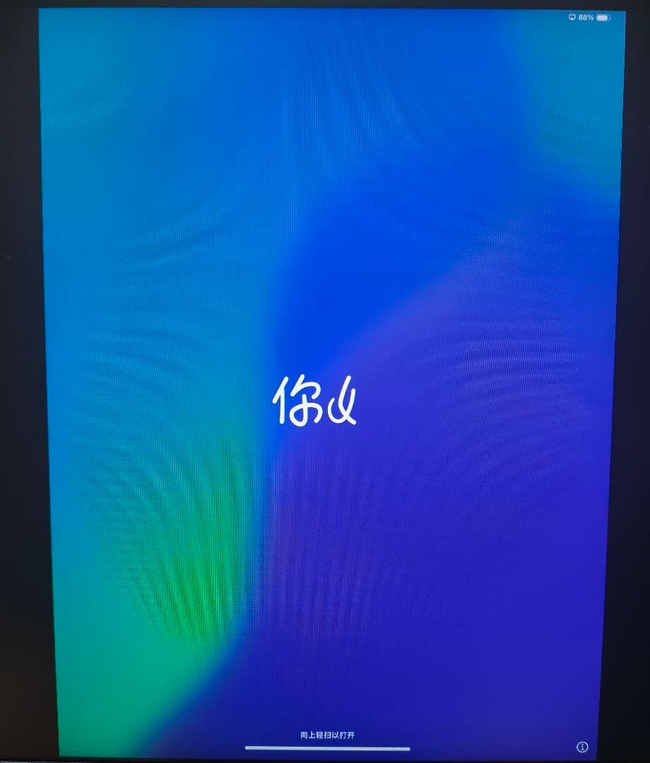 iPad Pro 13インチ M4 WiFi 256GB シルバー ジャンク