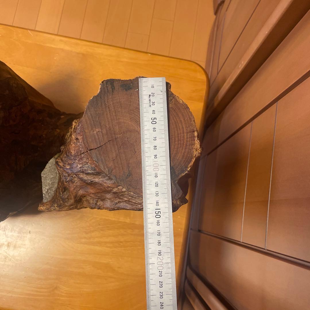天然木 大型 花台 切り株 台座 飾り台　木工芸品
