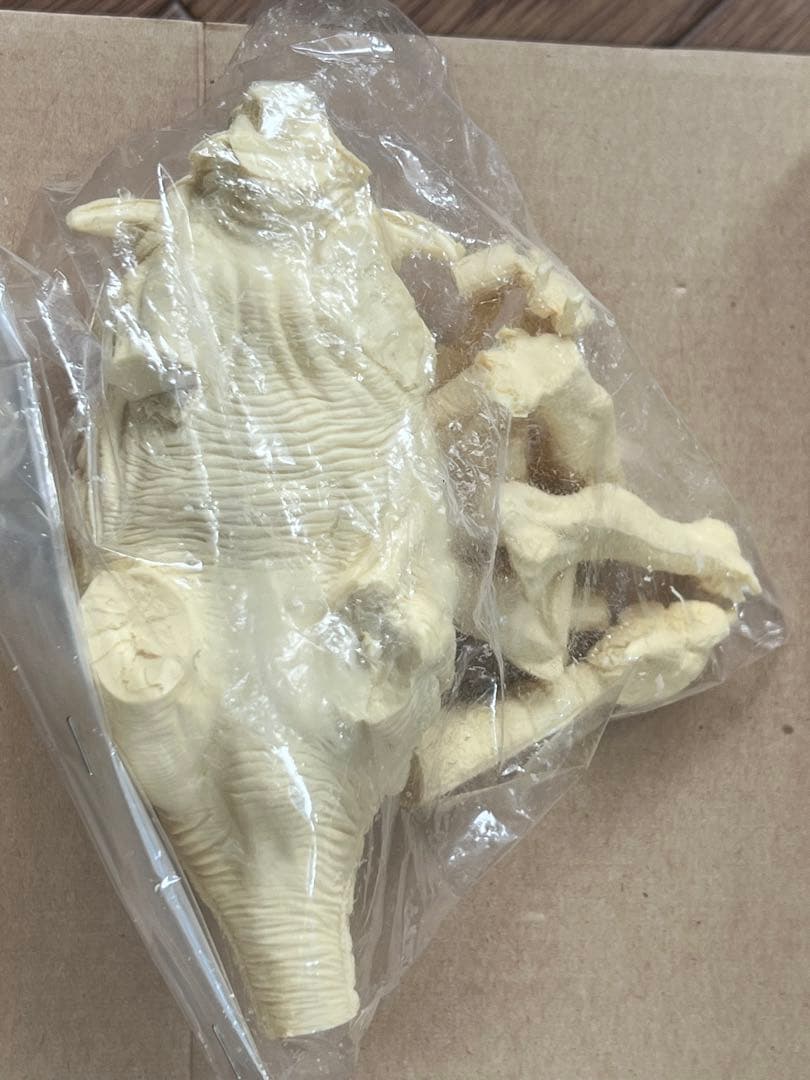 海洋堂　スコロサウルス レジンキット 恐竜　フィギュア　動物　生き物