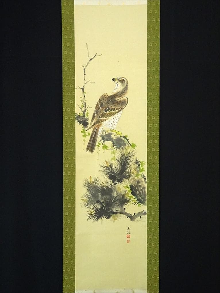 【真作】掛軸 丸尾玉琳『老松に鷹之図』紙本 共箱付 掛け軸 a100816