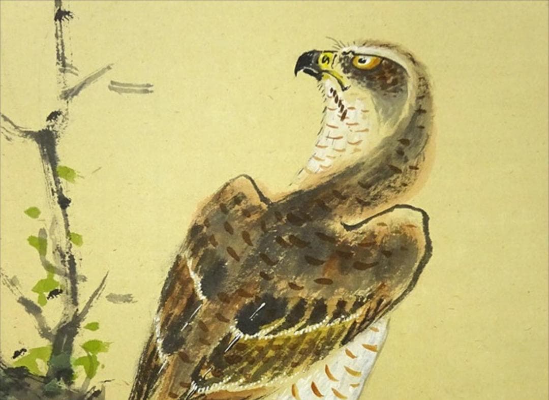 【真作】掛軸 丸尾玉琳『老松に鷹之図』紙本 共箱付 掛け軸 a100816