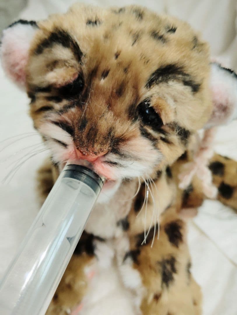 まなあきちゃん❤オーダー❤ウンピョウベビー♡アートドール♡ぬいぐるみ♡