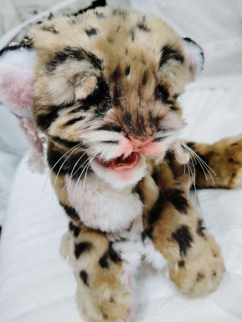 まなあきちゃん❤オーダー❤ウンピョウベビー♡アートドール♡ぬいぐるみ♡