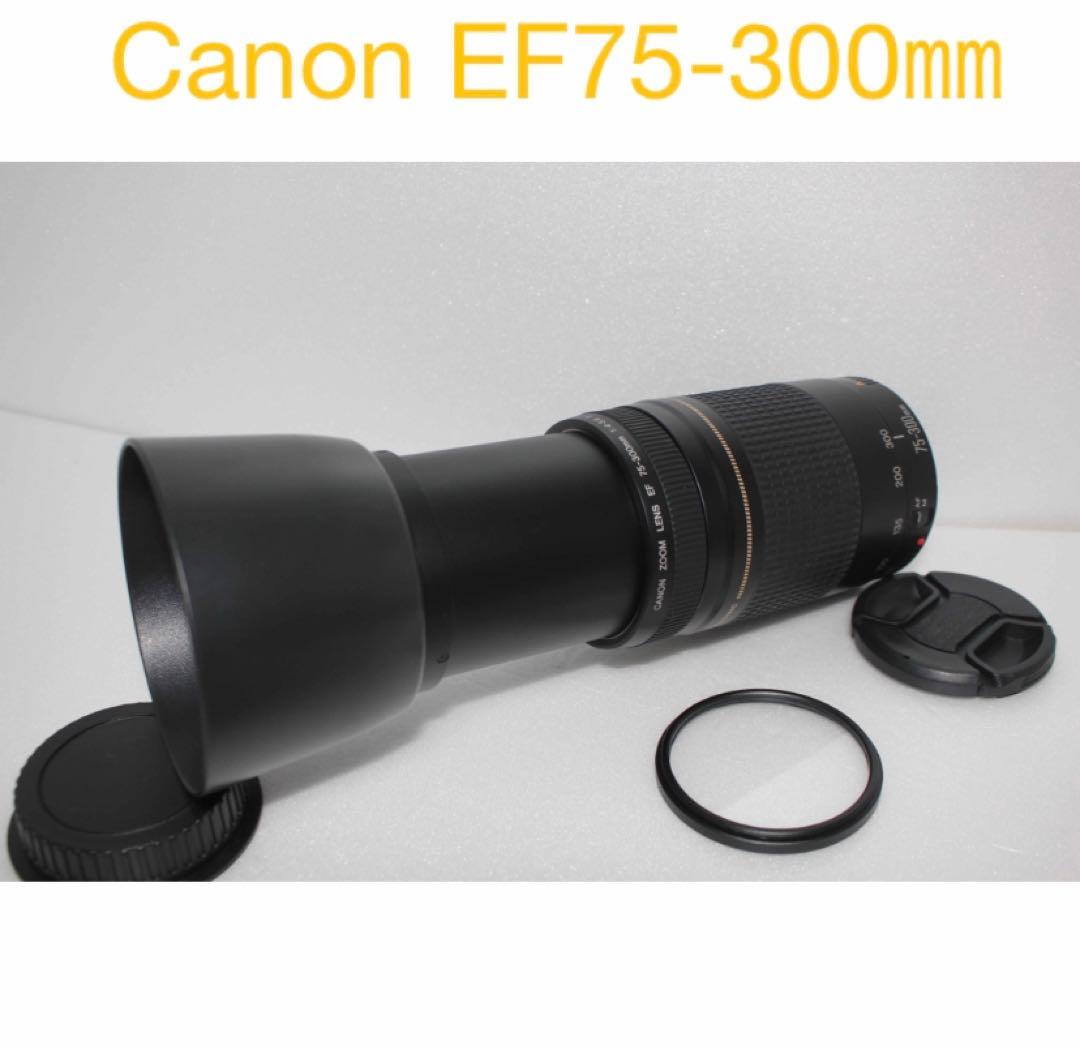 人気の望遠レンズ/フード付き/Canon EF75-300㎜