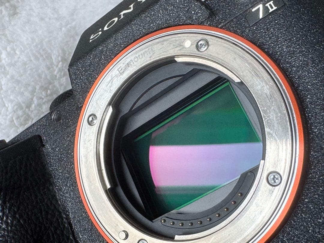 ichimasa さん限定SONY α7 II カメラ ボディー