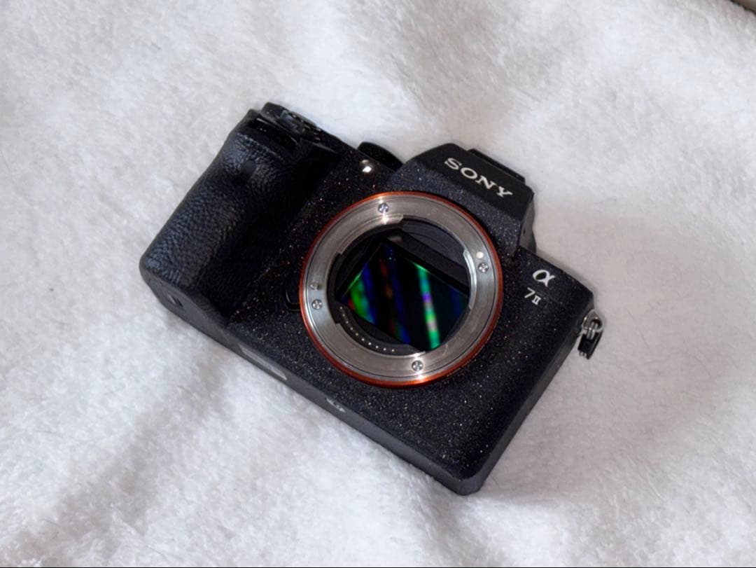 ichimasa さん限定SONY α7 II カメラ ボディー