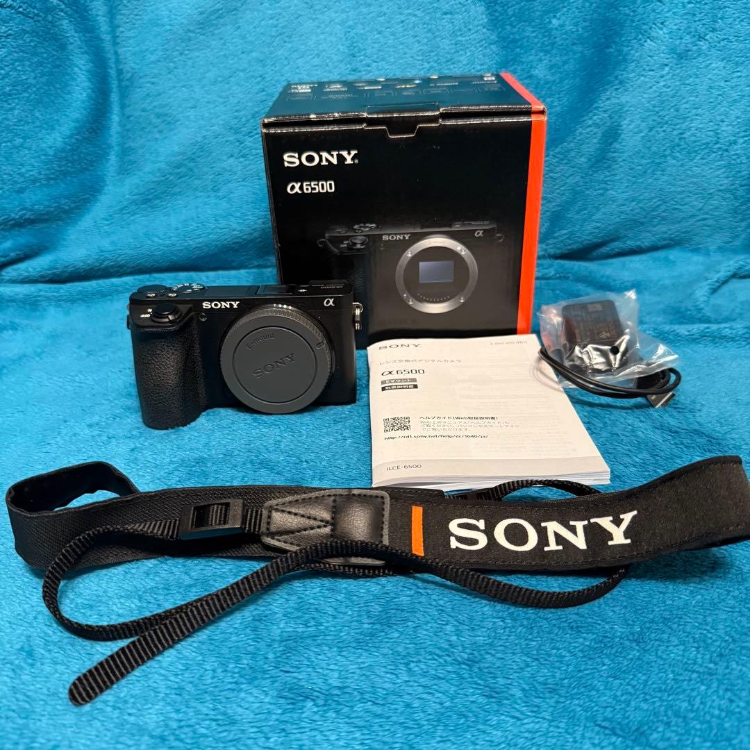 Sony α6500 ミラーレス一眼 単焦点　ズームレンズセット Zeiss