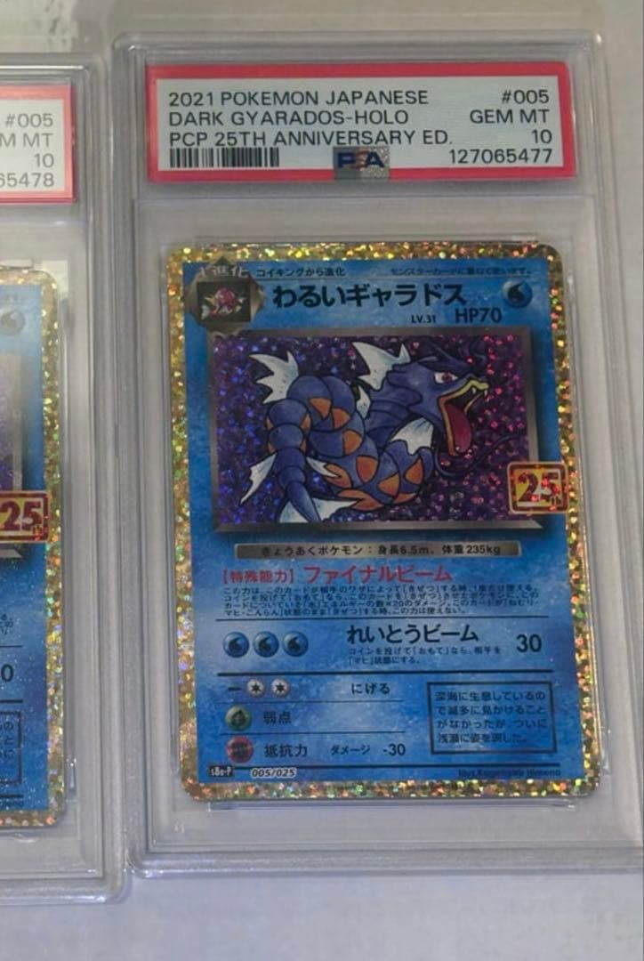 2枚セット　ひかるコイキング わるいギャラドスプロモカードパック 25th