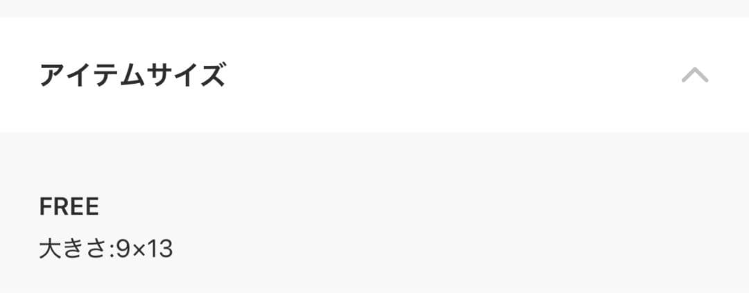 【IL BISONTE】 ケース【グレー】