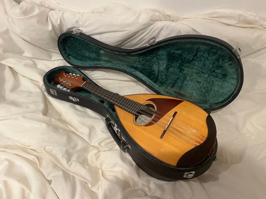 マンドリンと黒いケースセット