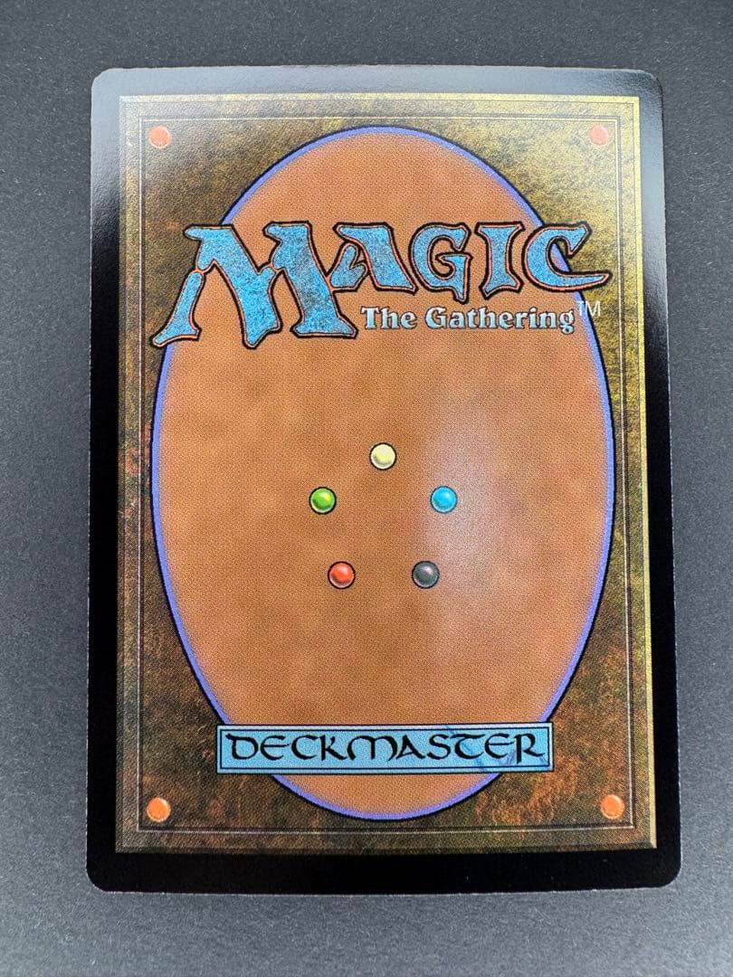 未使用 行き届いた書庫 日本語 ボーダーレスfoil