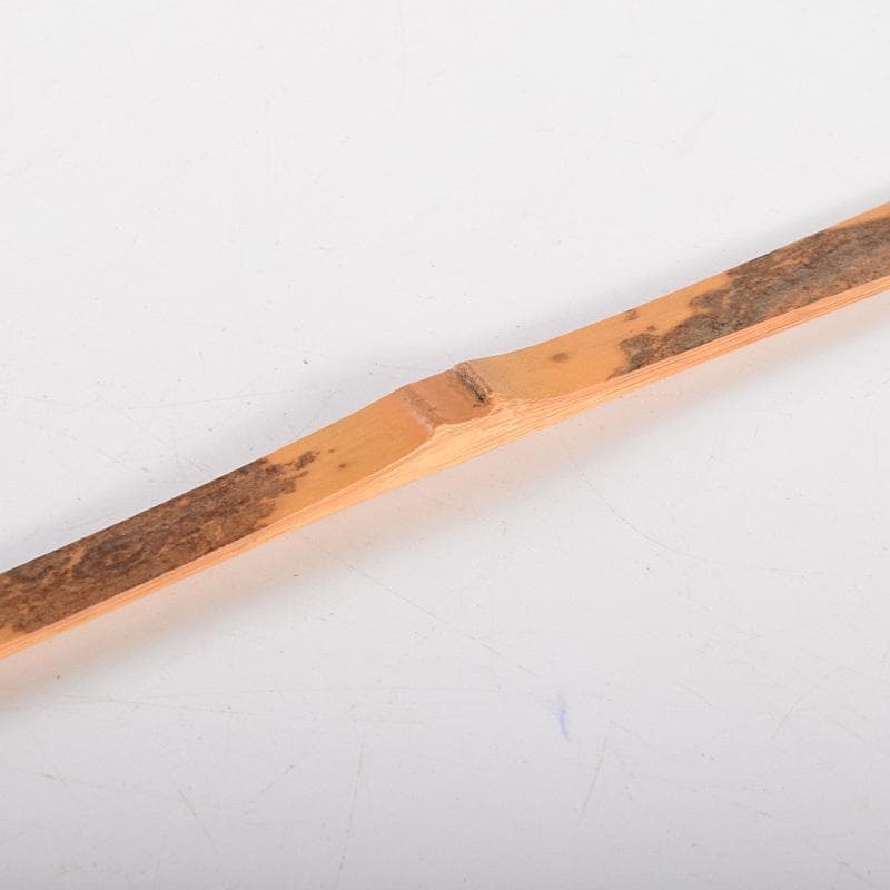 茶道具　古竹　茶杓　在銘書付共筒　V　R5067