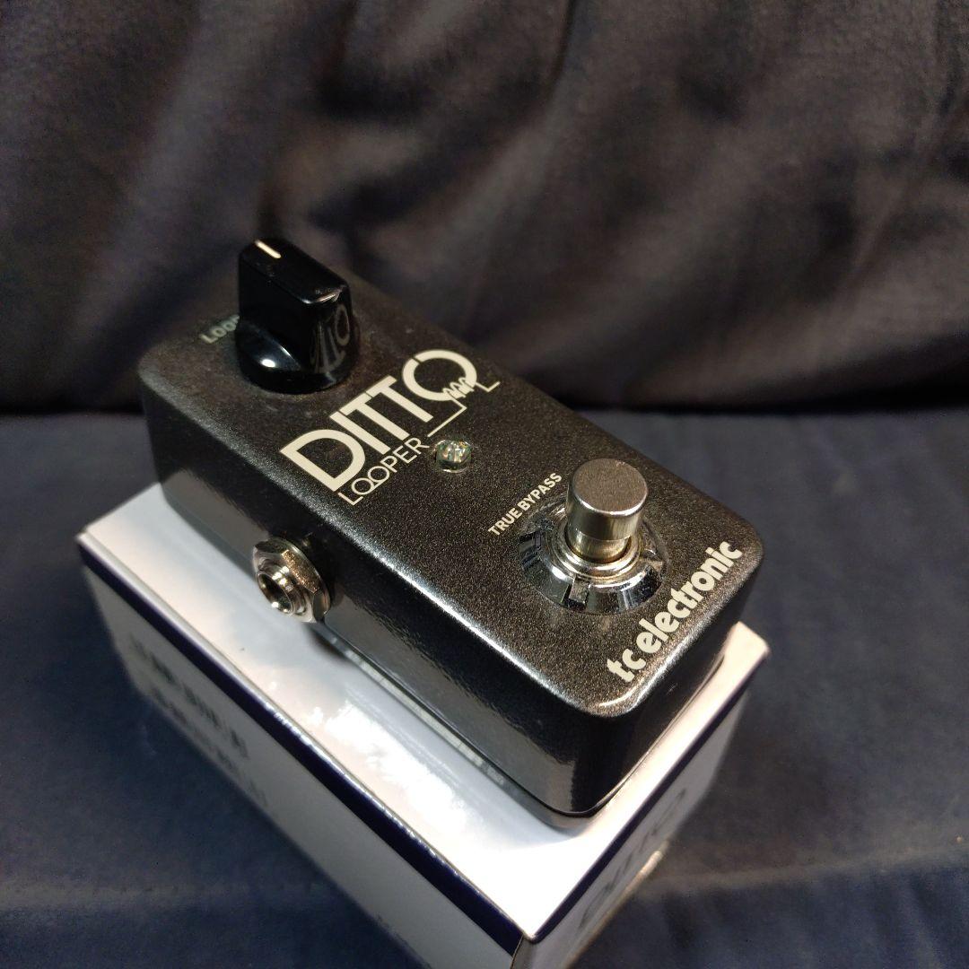 ギター tc electronic DITTO LOOPER