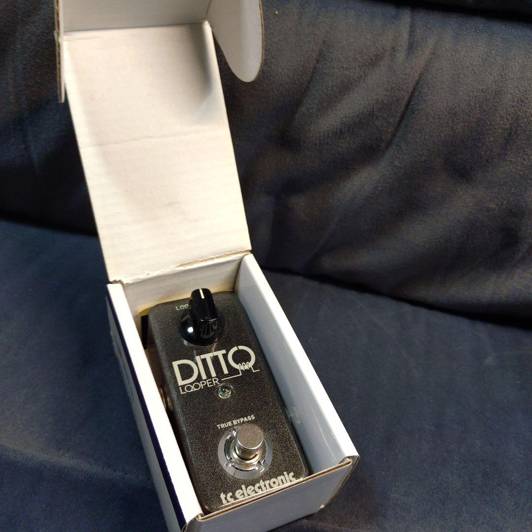 ギター tc electronic DITTO LOOPER