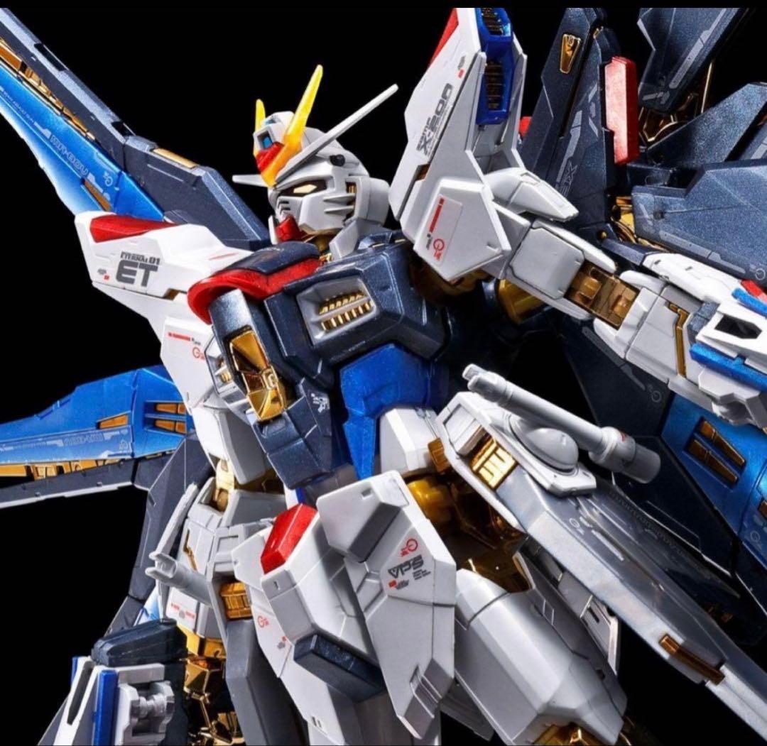 RG ストフリ 天空の翼 チタニウムフィニッシュ セット