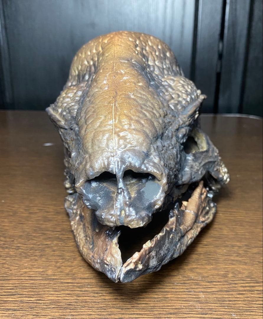 ステゴケラス 頭骨レプリカ その他 歯 化石