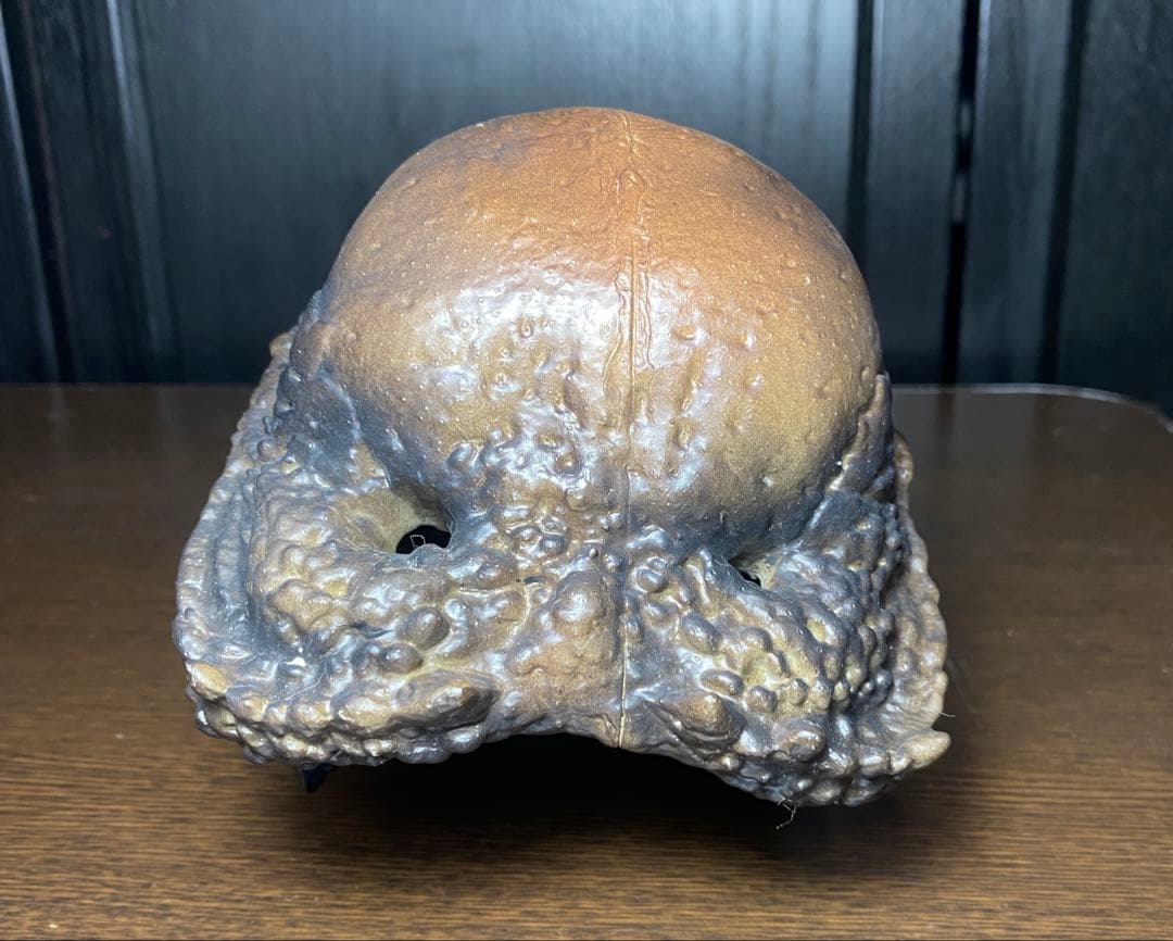 ステゴケラス 頭骨レプリカ その他 歯 化石