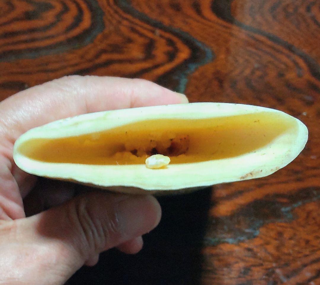 マッコウクジラの歯 彫刻 玉峰 七福神 布袋様