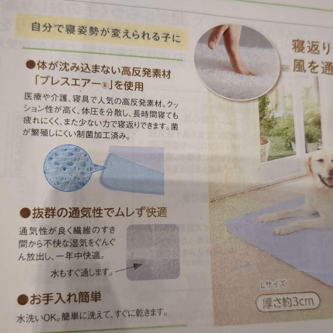 ①フィーヌエアーマット　Mサイズ