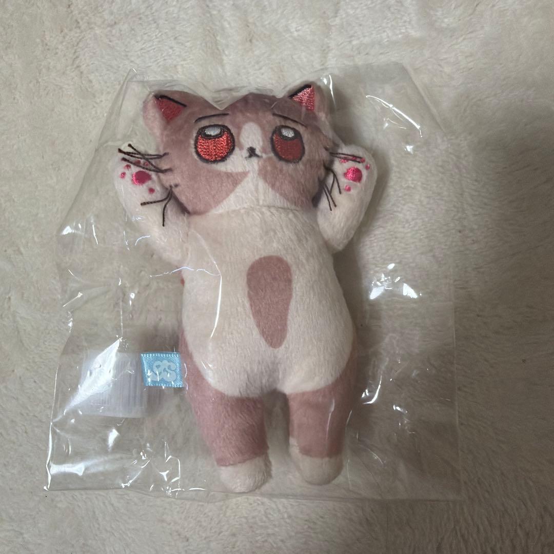 ずっと真夜中でいいのに。 しょがストぬいぐるみ