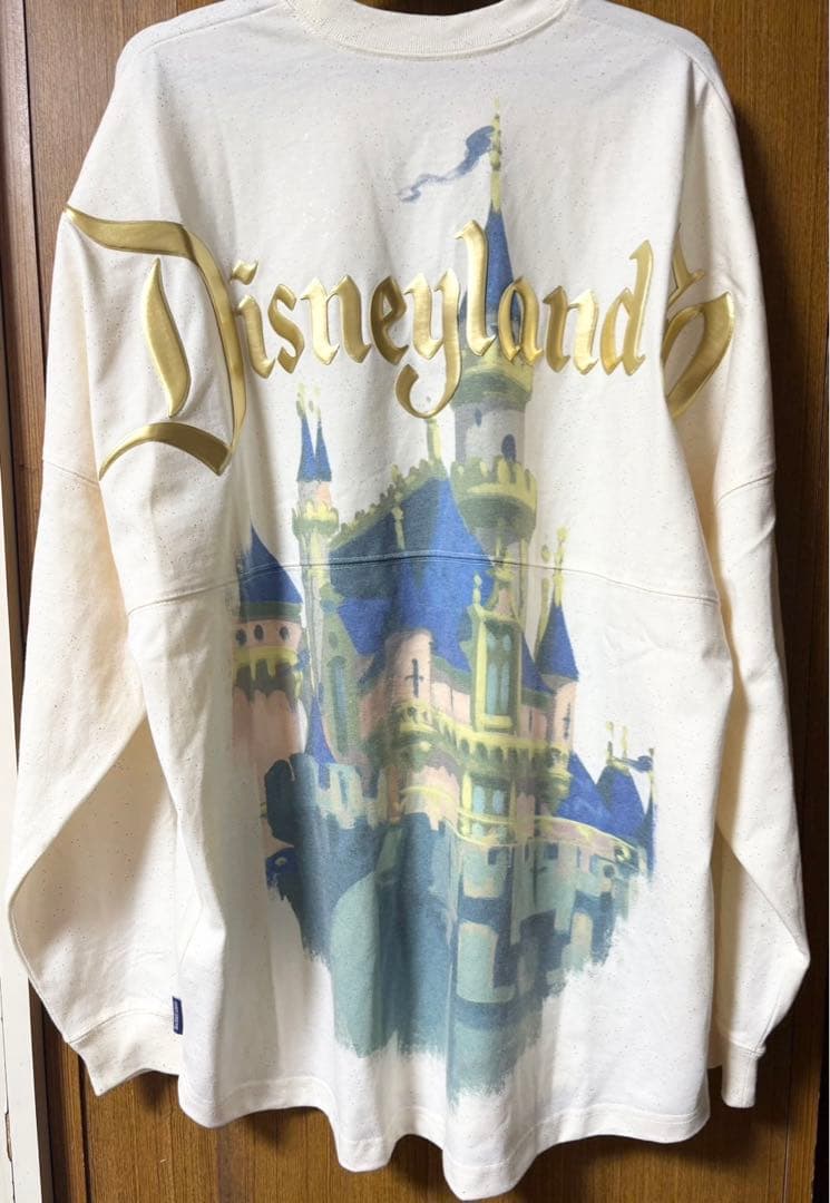 カリフォルニアディズニー 70周年 スピリットジャージ スピジャ エコバック
