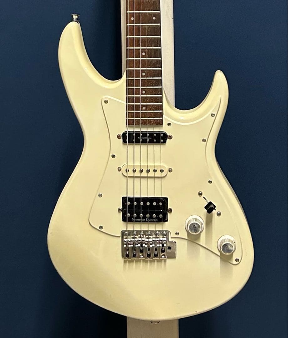 Black Dog by Aria pro Ⅱ ST type mod.