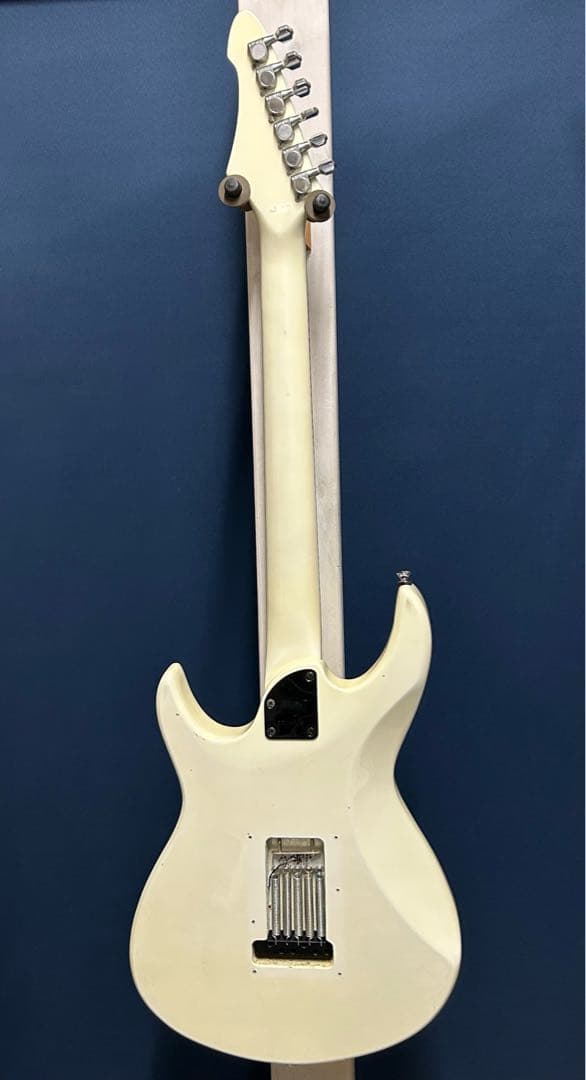 Black Dog by Aria pro Ⅱ ST type mod.