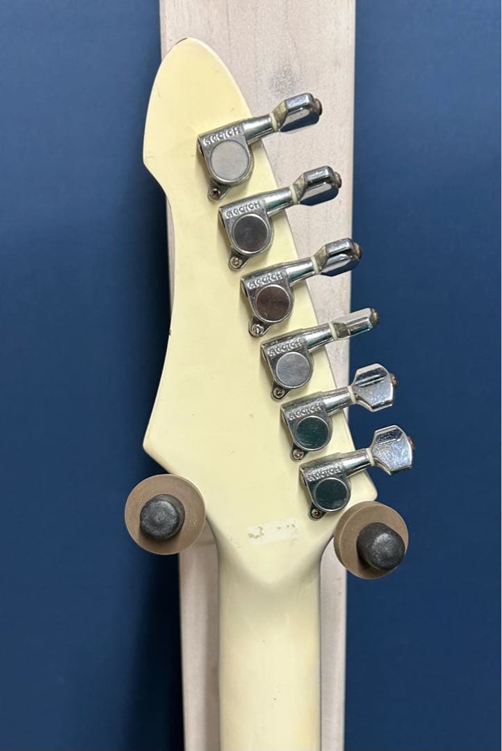 Black Dog by Aria pro Ⅱ ST type mod.